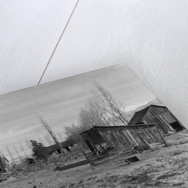 Abandoned Ranch in Owens Valley by Anonymous