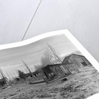 Abandoned Ranch in Owens Valley by Anonymous