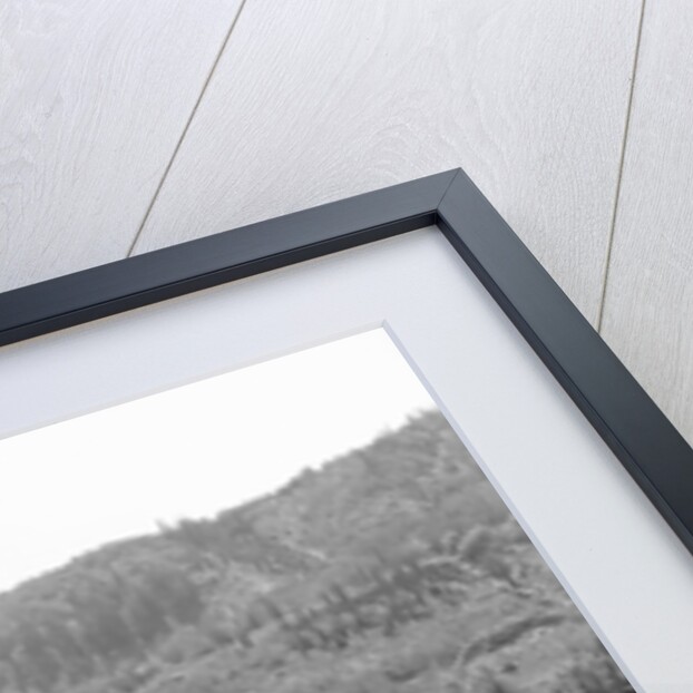 CCC Camp in Wasatch National Forest by Anonymous