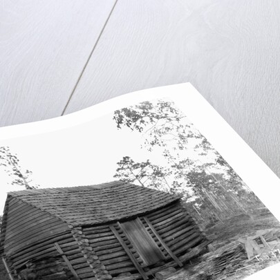 Log Home by Anonymous