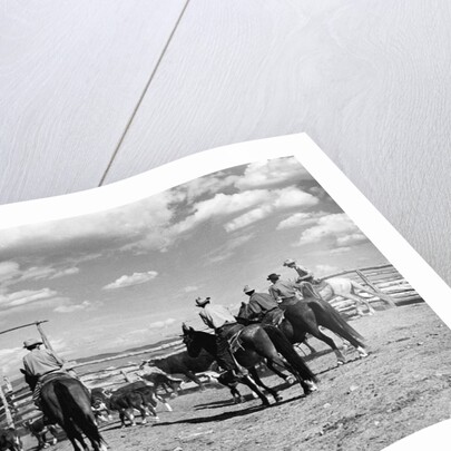 Moving Cattle Into Corral by Anonymous