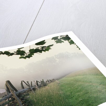 Morning Fog on a Mountain Farm by Anonymous