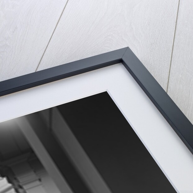 Nave of the Basilica of the Baltimore Cathedral by Anonymous