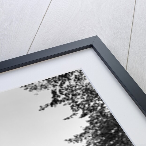 Lyndhurst Mansion by Anonymous