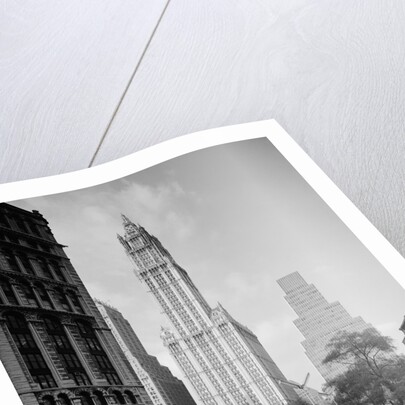 Woolworth Building by Anonymous