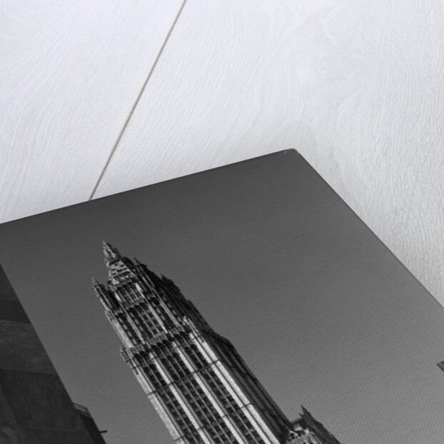 Woolworth Building by Anonymous