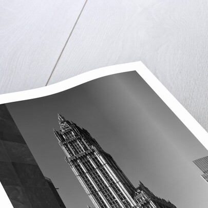 Woolworth Building by Anonymous
