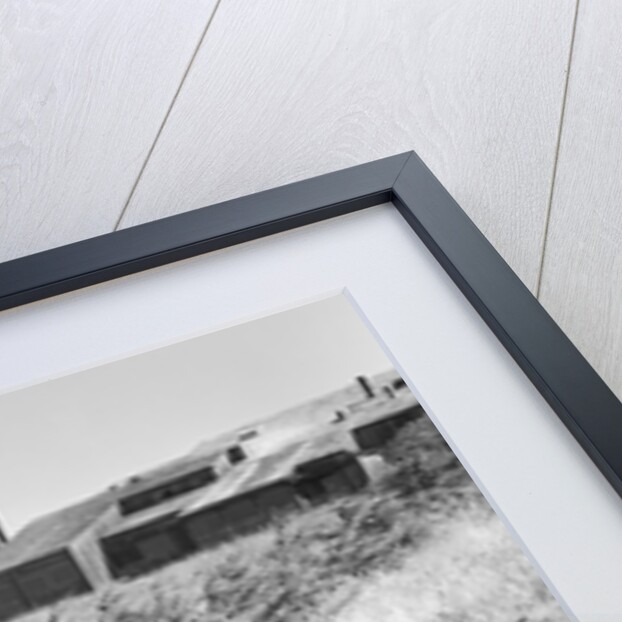 Sea Ranch by Anonymous