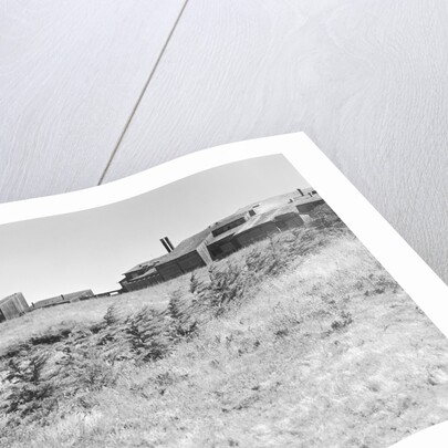 Sea Ranch by Anonymous