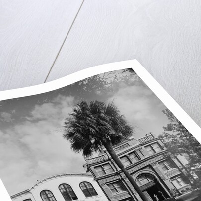 Savannah Cotton Exchange by Anonymous