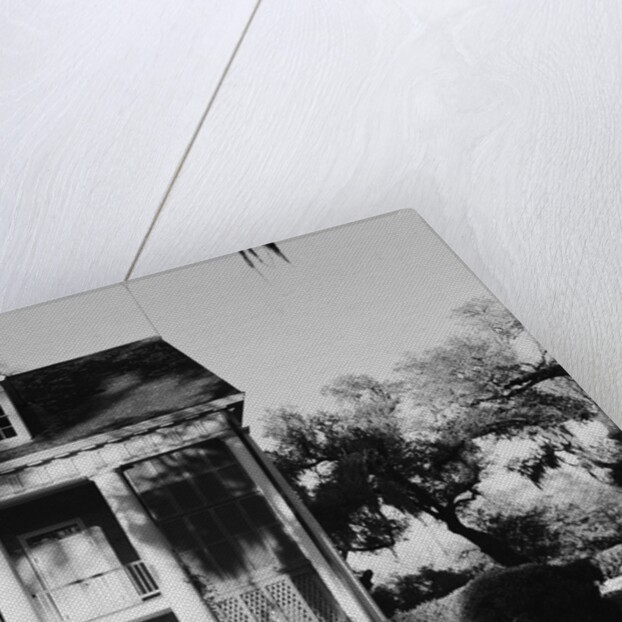 Corner of Shadows-on-the-Teche with Screens Concealing Outdoor Staircase by Anonymous
