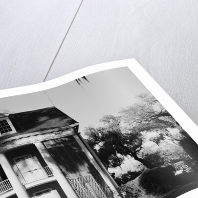 Corner of Shadows-on-the-Teche with Screens Concealing Outdoor Staircase by Anonymous