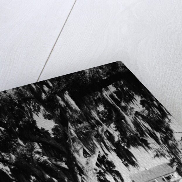 Maison Oliver by Anonymous