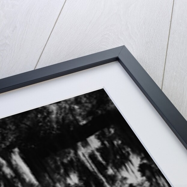 Maison Oliver by Anonymous