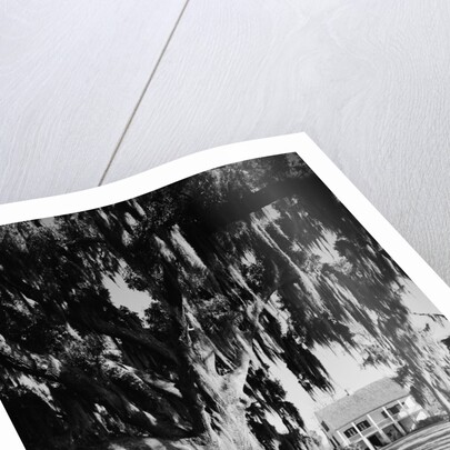 Maison Oliver by Anonymous