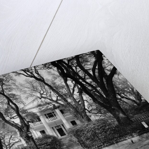 Stanton Hall by Anonymous