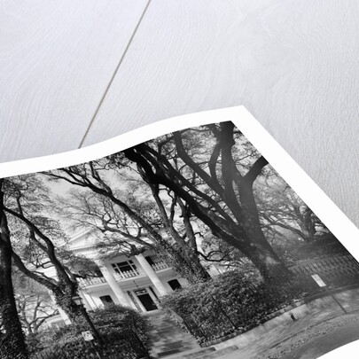 Stanton Hall by Anonymous