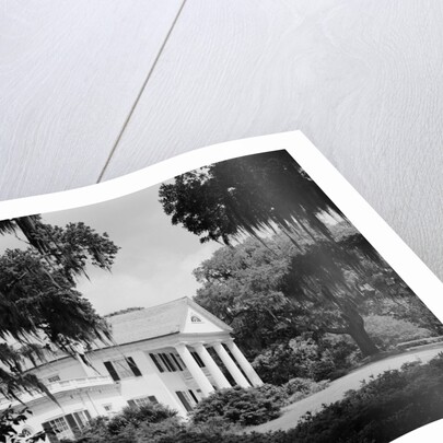 Manor House at Orton Plantation by Anonymous