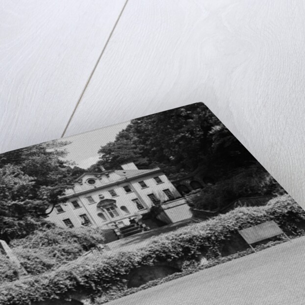 Swan House by Anonymous