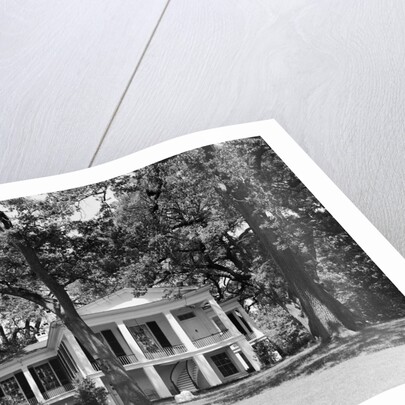Oakleigh by Anonymous