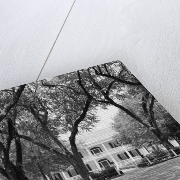 Manor House at Rosedown Plantation by Anonymous