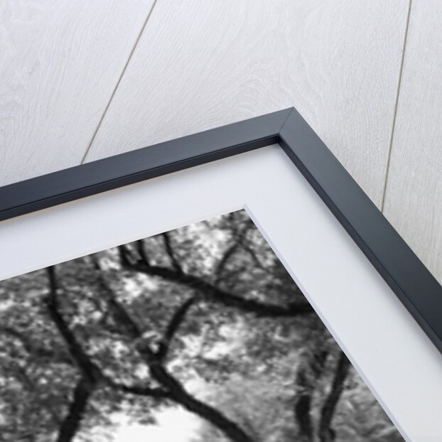 Manor House at Rosedown Plantation by Anonymous