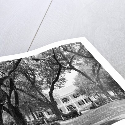 Manor House at Rosedown Plantation by Anonymous