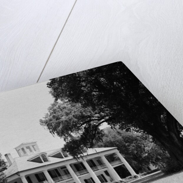 Houmas House by Anonymous