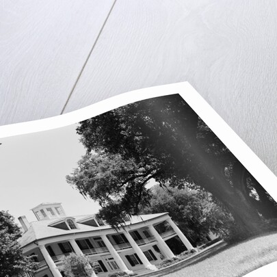 Houmas House by Anonymous
