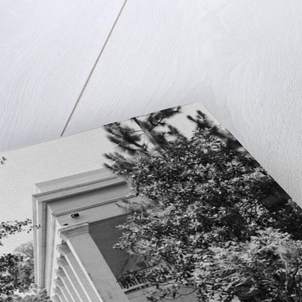 Corner of Ashland-Belle Helene by Anonymous