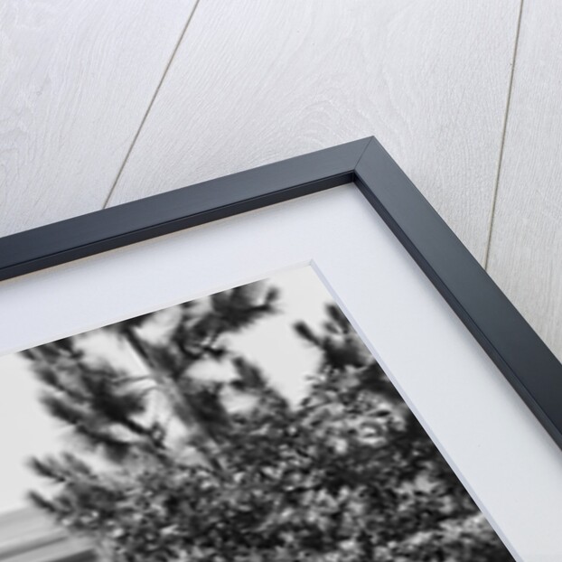 Corner of Ashland-Belle Helene by Anonymous