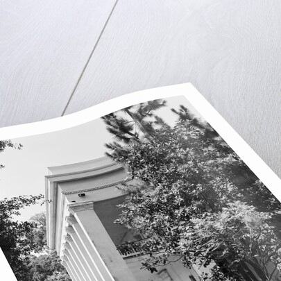 Corner of Ashland-Belle Helene by Anonymous