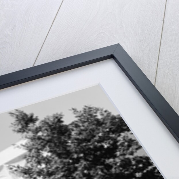 Sheldon Memorial Art Gallery by Anonymous