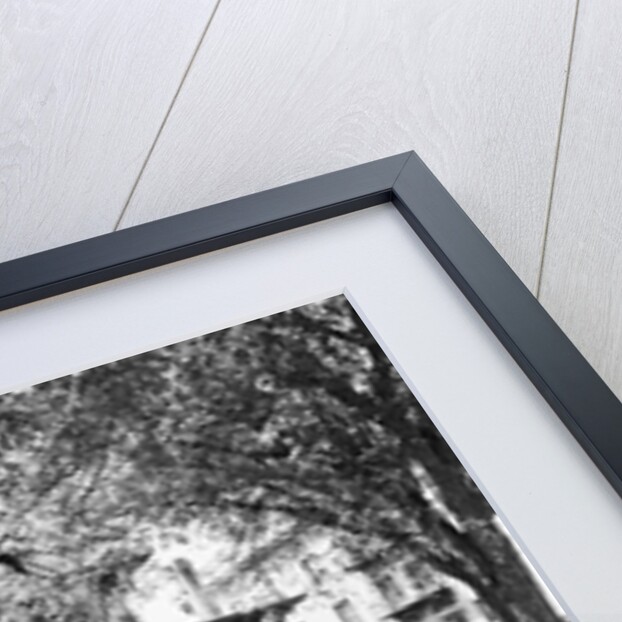 Burbank-Livingston-Griggs House by Anonymous