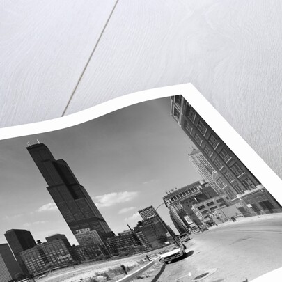 Chicago with the Sears Tower by Anonymous