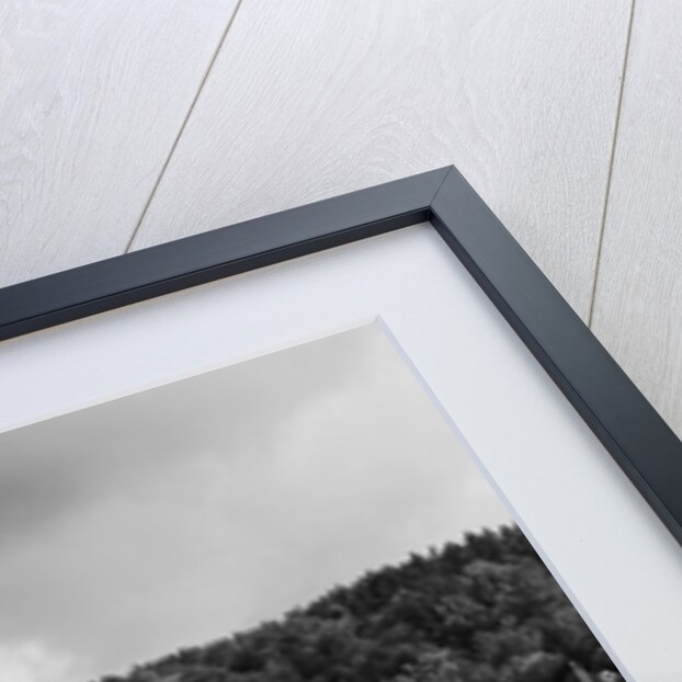 Vermont State Capitol by Anonymous