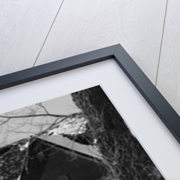 John Whipple House by Anonymous