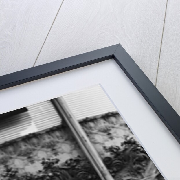 Cast-Iron Ornamentation on the Entrance to the Carson, Pirie, Scott Store by Anonymous