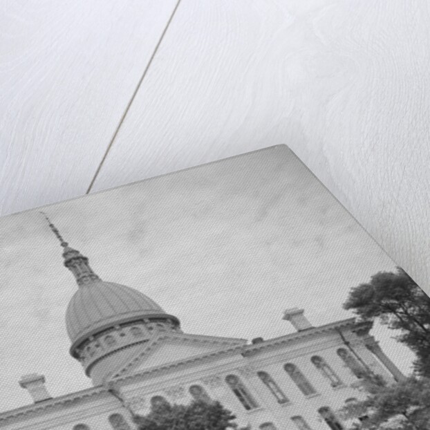 Macoupin County Court House by Anonymous