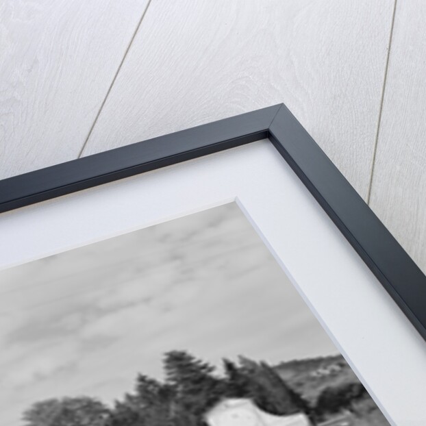 Entrance to the Villa Barbaro and its Fountain by Anonymous