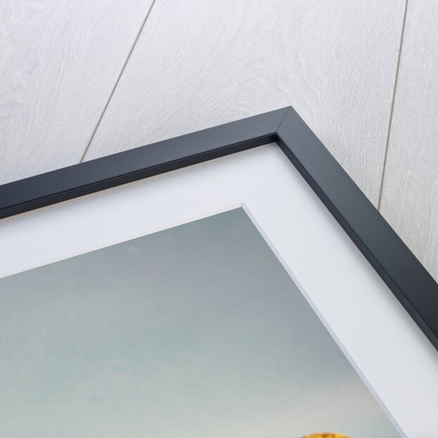 Matreshka by Anonymous