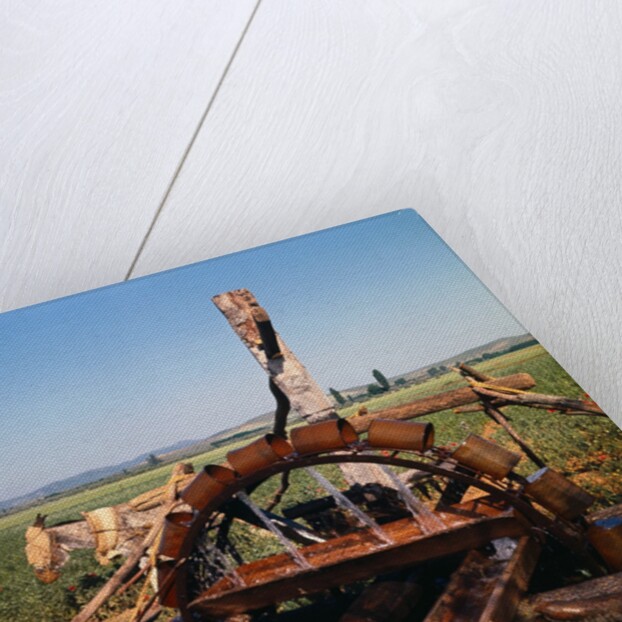 Donkey at an Antiquated Irrigation Wheel by Anonymous