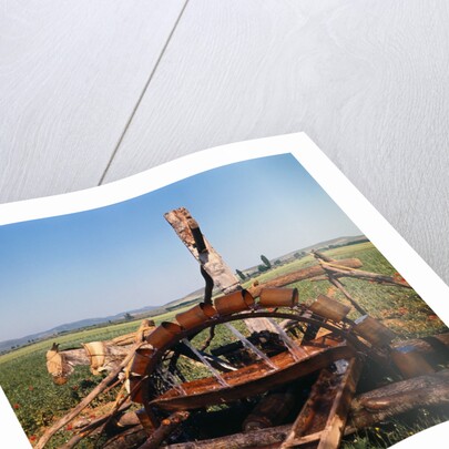 Donkey at an Antiquated Irrigation Wheel by Anonymous