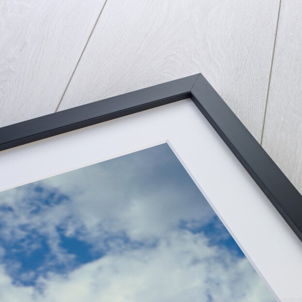 Mount Rushmore by Anonymous