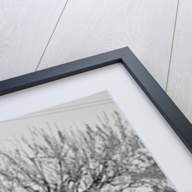 Cannon Ball House by Anonymous