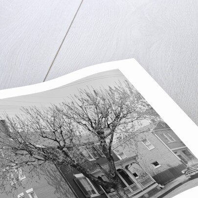 Cannon Ball House by Anonymous