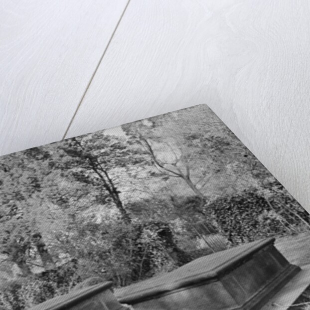 Washington Family Burial Ground by Anonymous