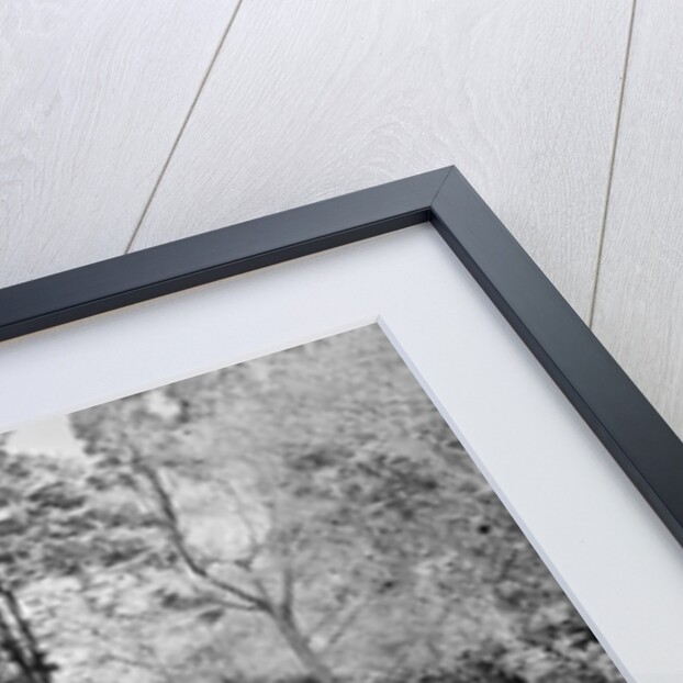 Washington Family Burial Ground by Anonymous