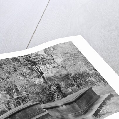 Washington Family Burial Ground by Anonymous