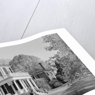 Brandon Plantation by Anonymous